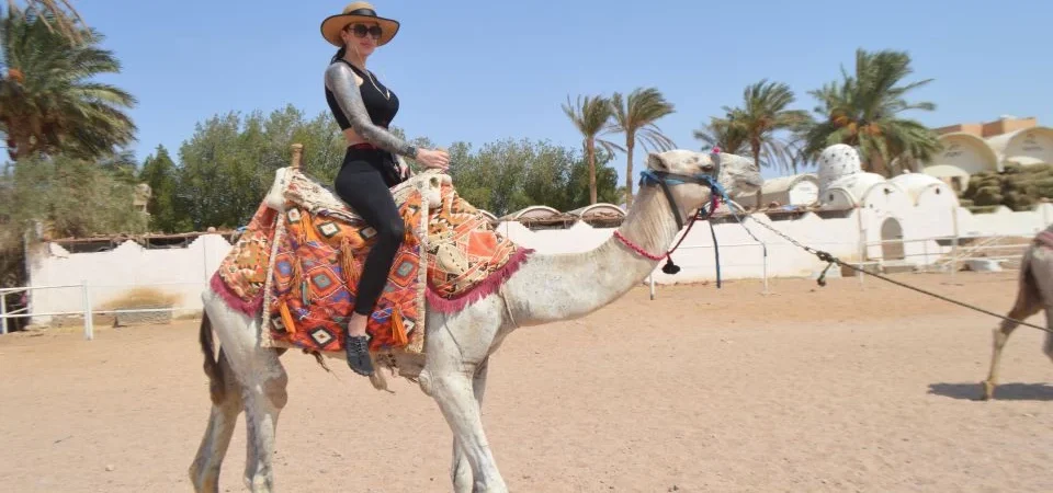 Camel Ride