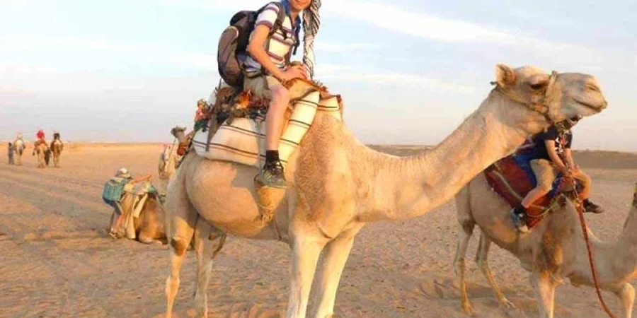 Camel Ride