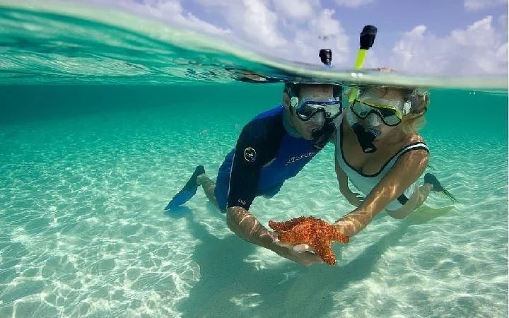 Diving and Snorkeling