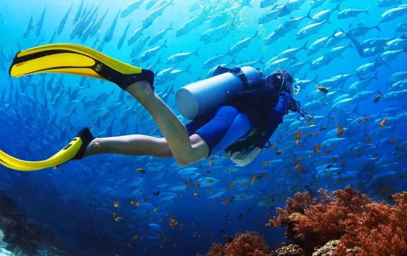 Diving and Snorkeling in Hurghada