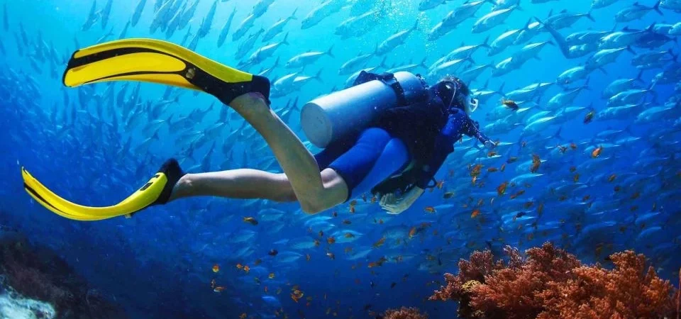 Diving and Snorkeling in Hurghada