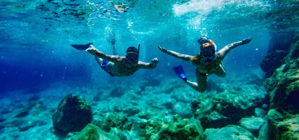 Diving and Snorkeling