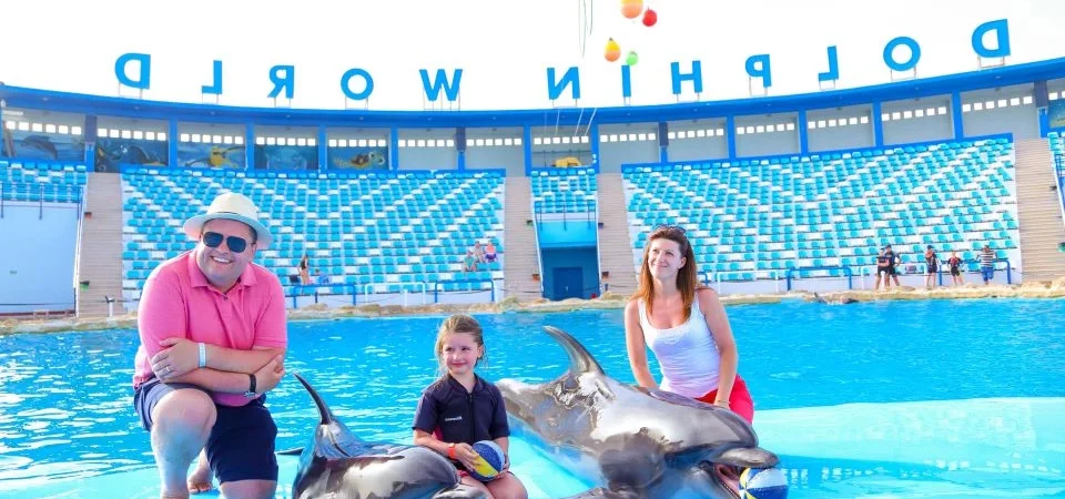 Dolphin World Show