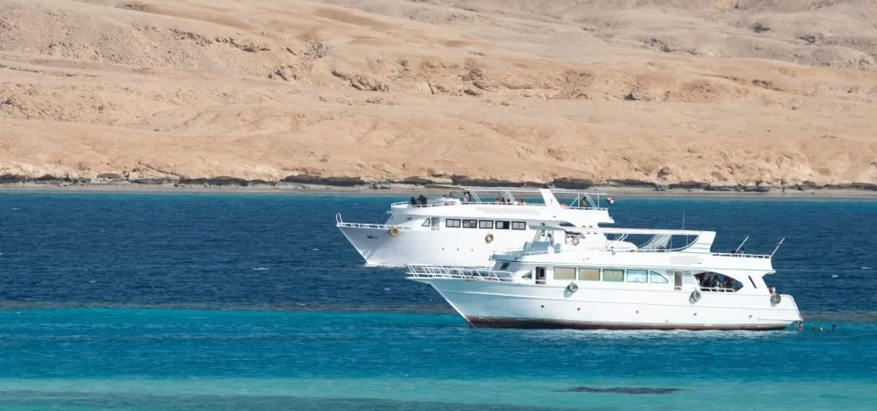 Hurghada: Diving and Snorkeling Cruise Tour Lunch and Drinks