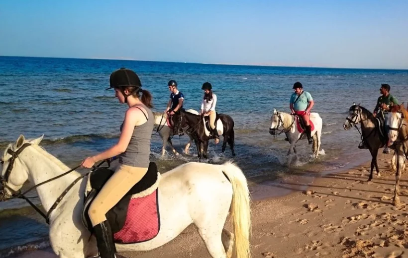 Hurghada: Red Sea Coast Horseback Riding Tour