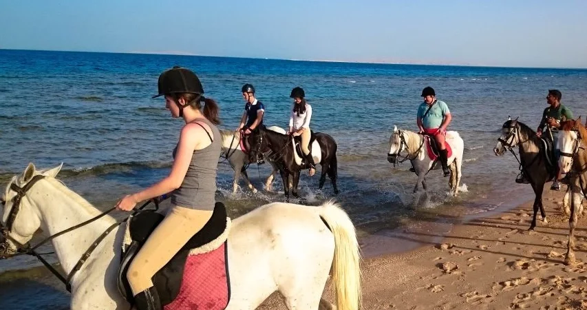 Hurghada: Red Sea Coast Horseback Riding Tour