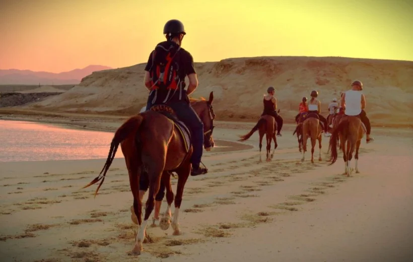 Hurghada: Sea and Desert Horseback Riding, Stargazing, Dinner, Show