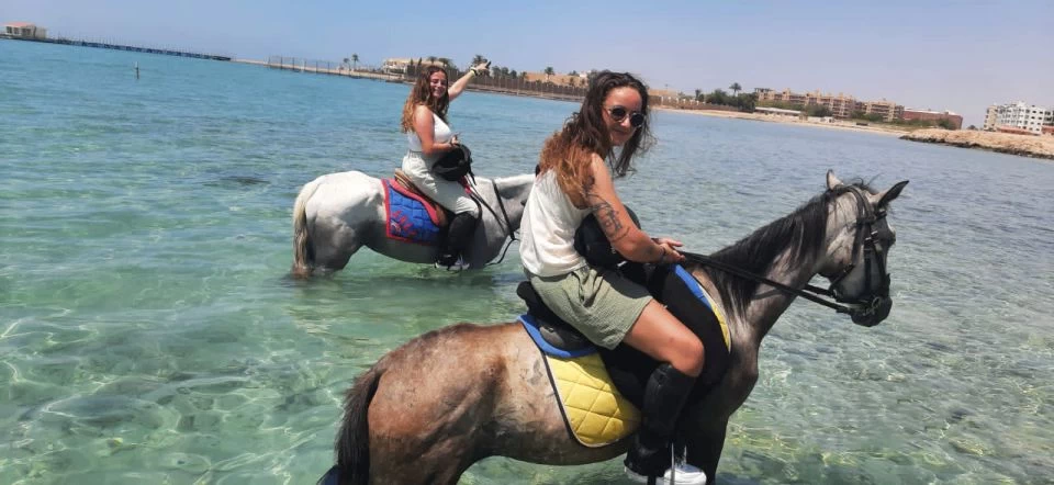 Red Sea Coast Horseback Riding Tour