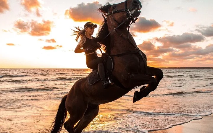 Sea and Desert Horseback Riding, Stargazing, Dinner, Show