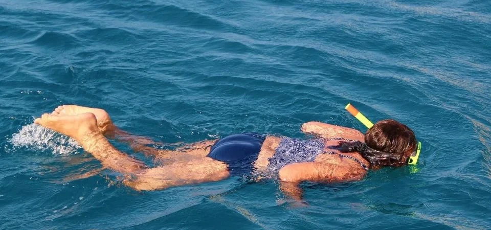 Snorkeling and Dolphin watching